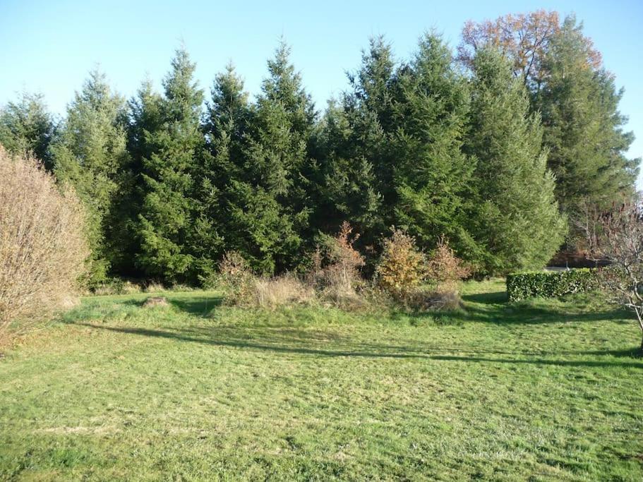 Saint-Bazile Gite Des Forces - Limousin - Haute Vienne מראה חיצוני תמונה